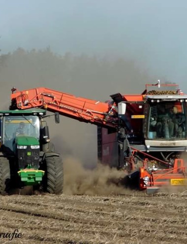 Mark Huijbregts Reusel afbeelding 5 Mark Huijbregts Reusel afbeelding 5